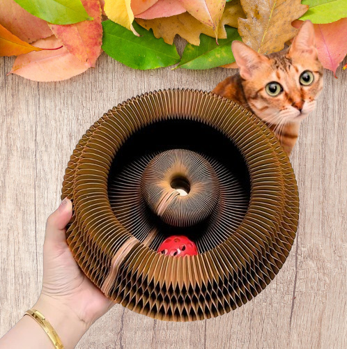 Magic Organ Cat Scratcher™